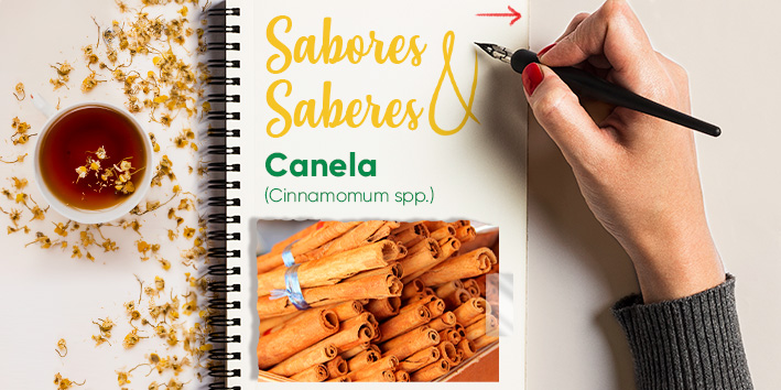 Sabores e saberes - Canela 1